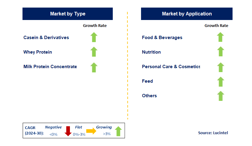 Dairy Protein by Segment